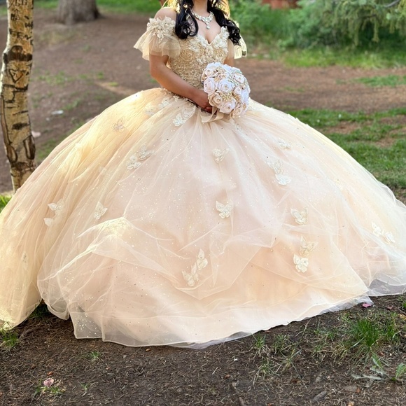 Quinceañera Dress in champagne color - Picture 2 of 5